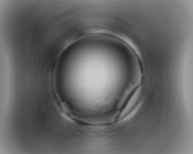 X0000114151001200910081329