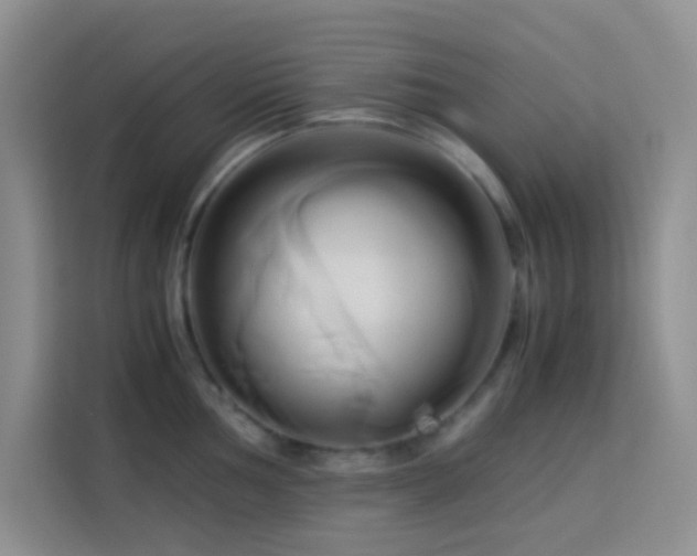 X0000114151002200910081329