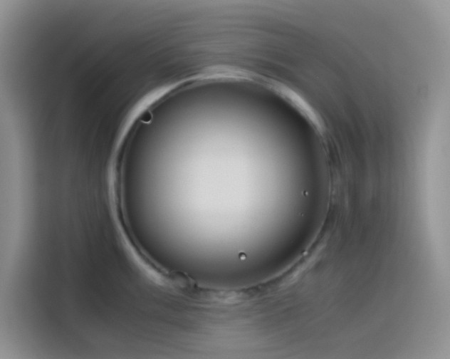 X0000114151003200910081329