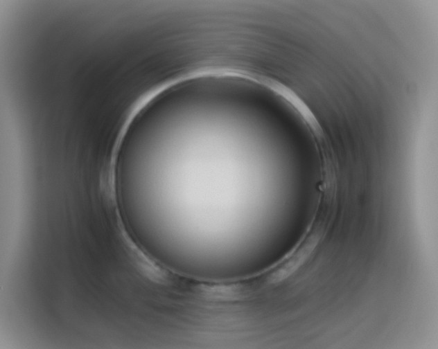 X0000114151004200910081329