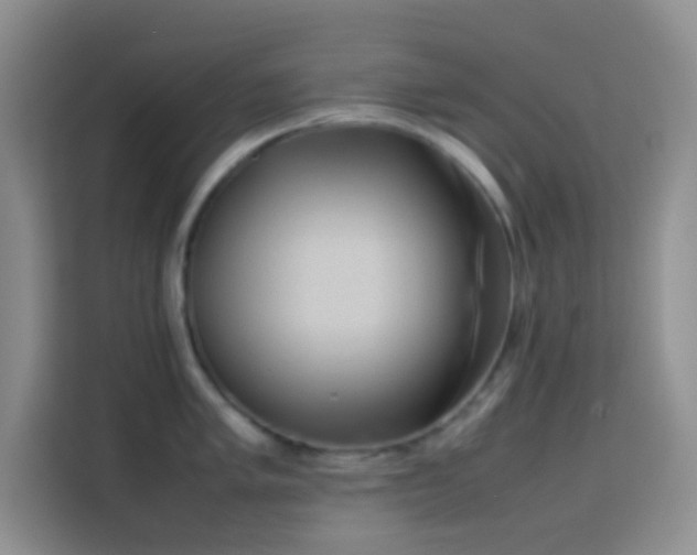 X0000114151005200910081329