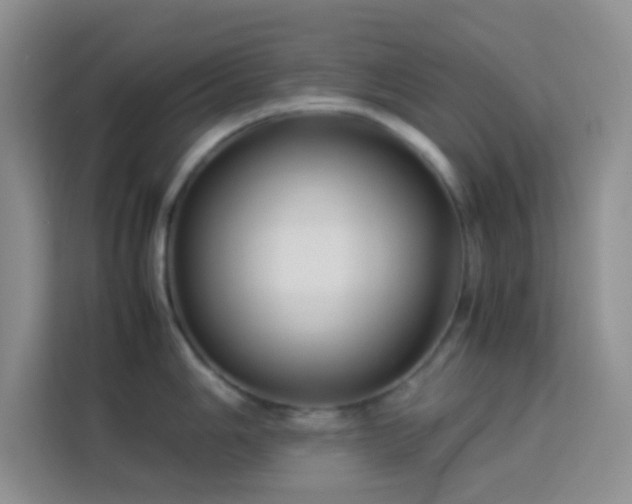 X0000114151006200910081329