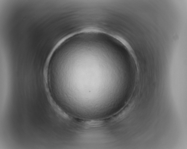 X0000114151008200910081329