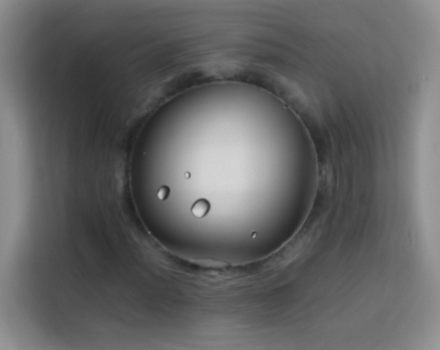 X0000114151012200910081328