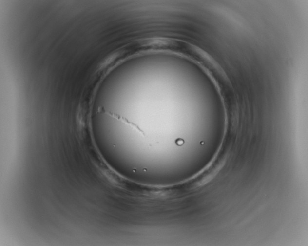 X0000114151017200910081328
