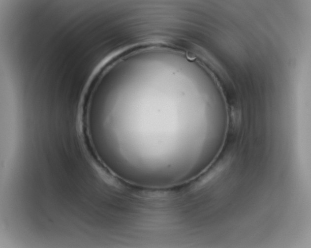 X0000114151020200910081328