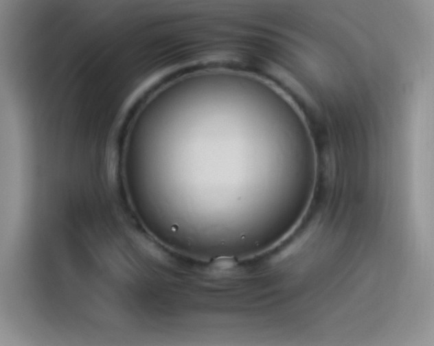 X0000114151021200910081329