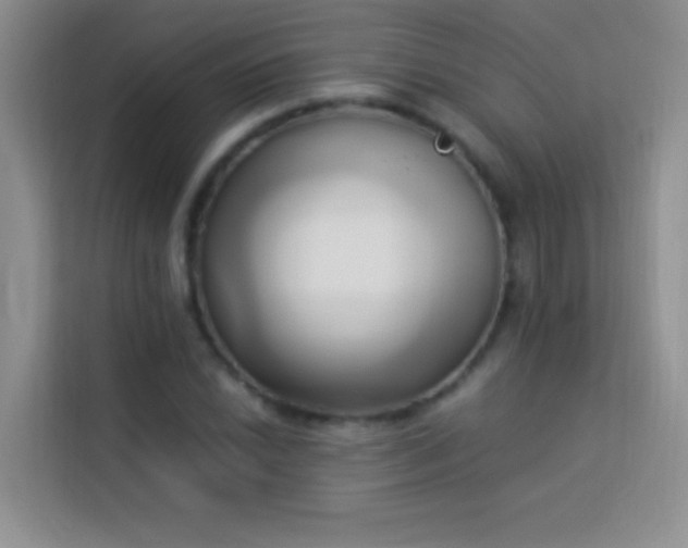 X0000114151022200910081329