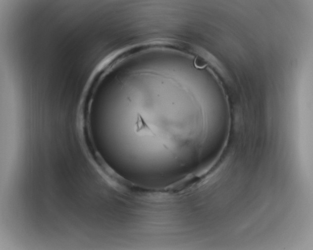 X0000114151024200910081329