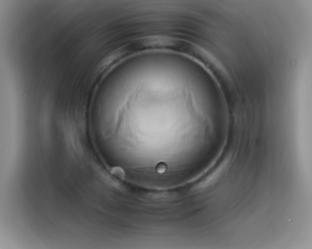 X0000114151025200910081329