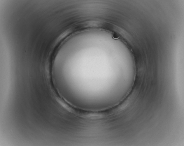 X0000114151026200910081329