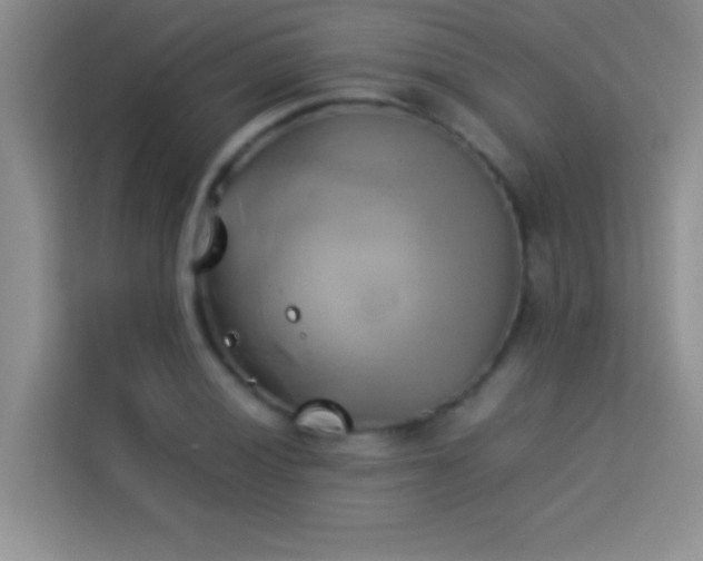 X0000114151028200910081329