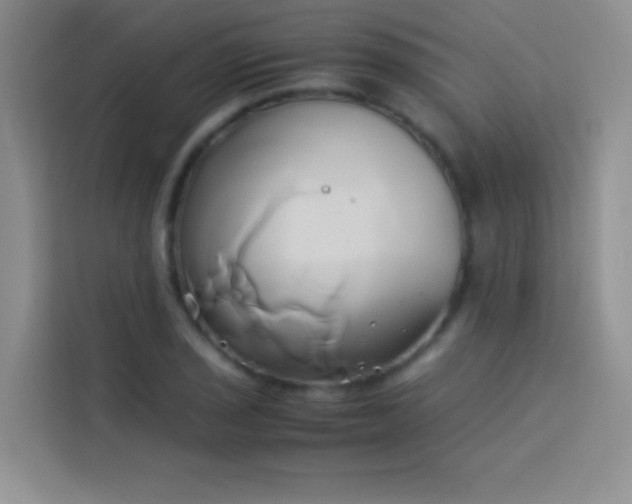 X0000114151029200910081329