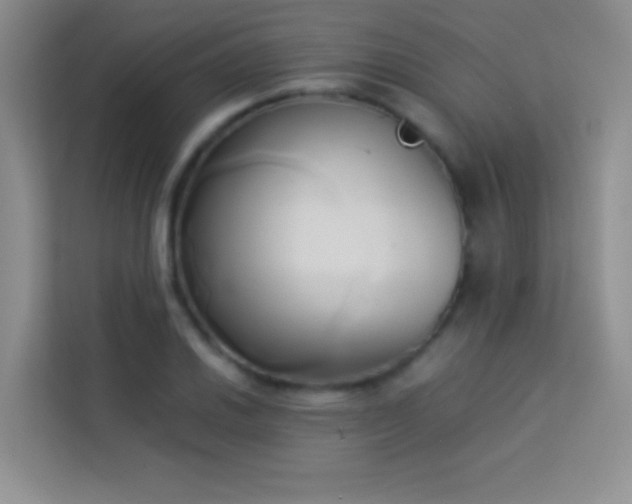 X0000114151030200910081329