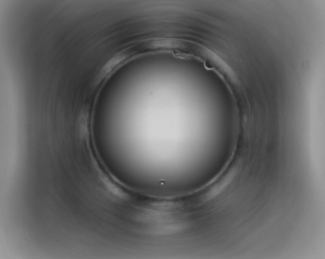 X0000114151033200910081329