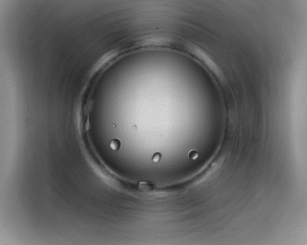 X0000114151034200910081329