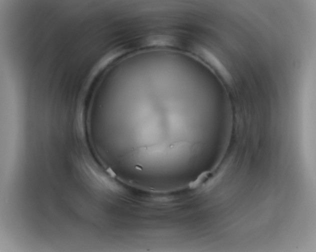 X0000114151035200910081329