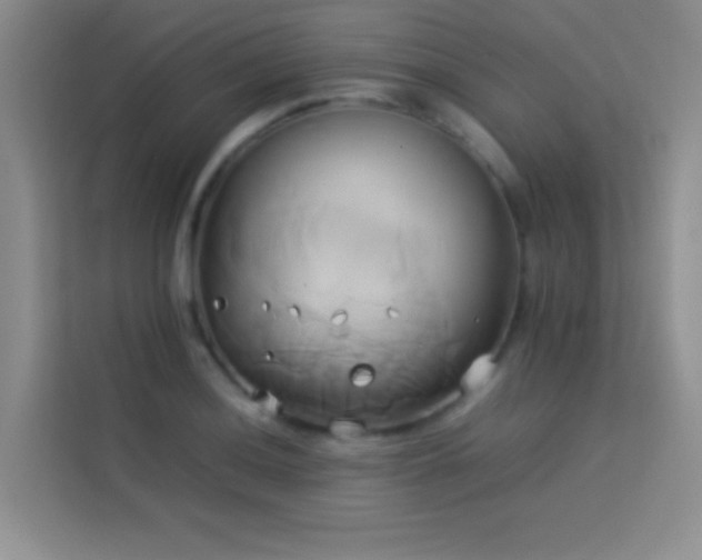 X0000114151036200910081329