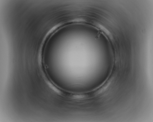 X0000114151037200910081329