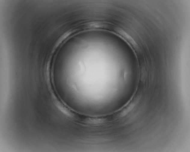 X0000114151039200910081329
