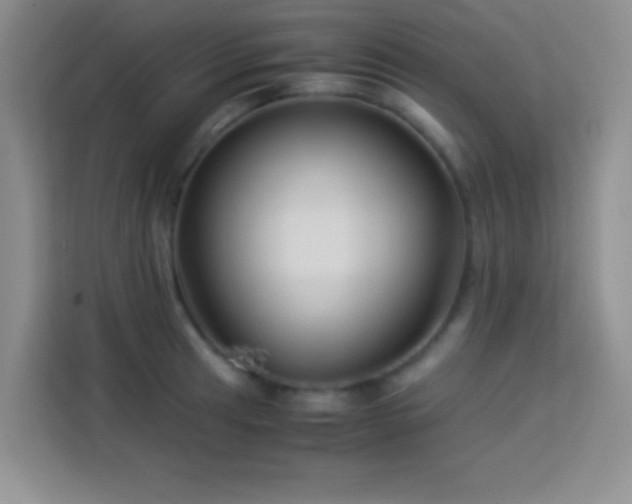 X0000114151041200910081329