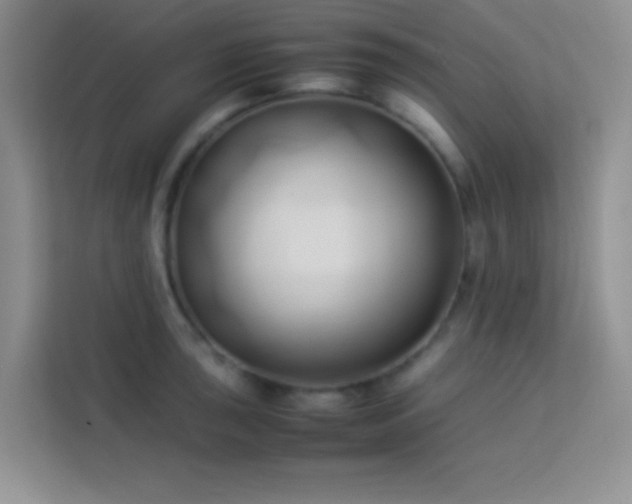 X0000114151043200910081329