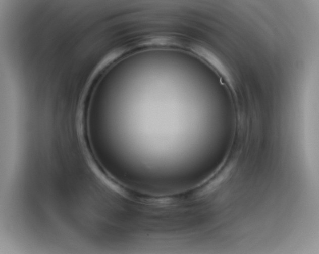 X0000114151045200910081329