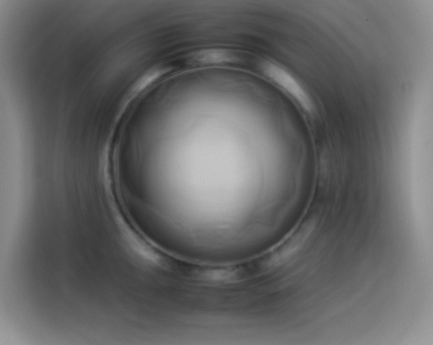 X0000114151047200910081329
