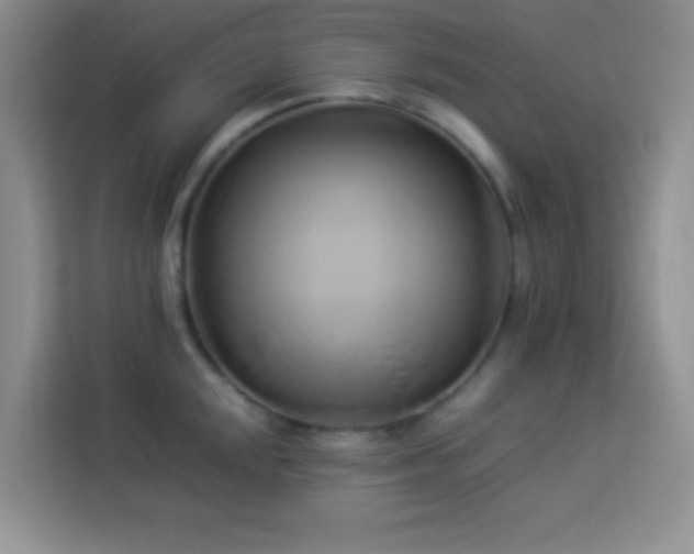 X0000114151048200910081329