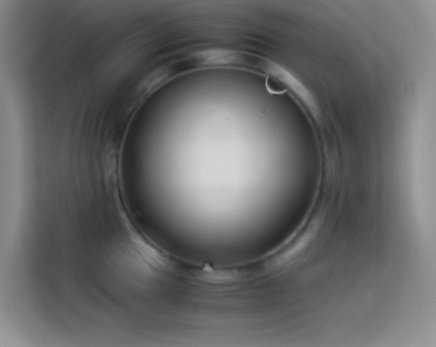 X0000114151049200910081329