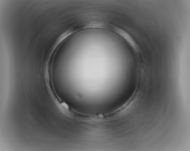 X0000114151050200910081329