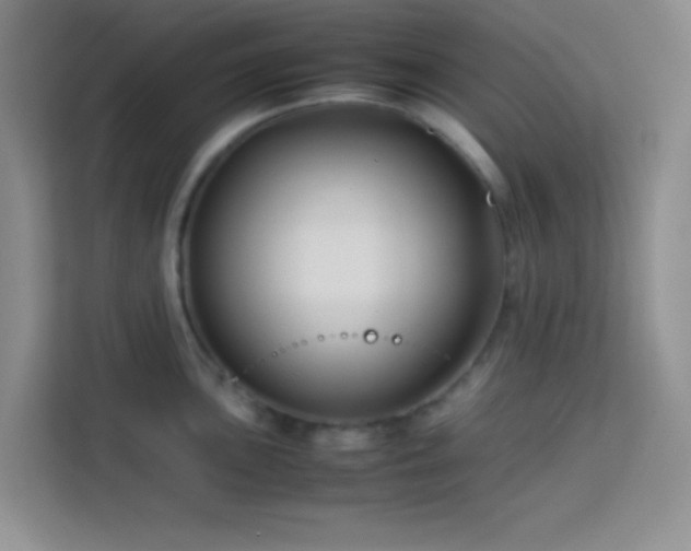 X0000114151051200910081329