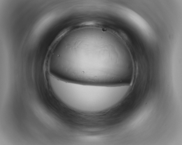 X0000114151052200910081329