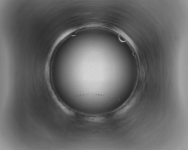 X0000114151053200910081329