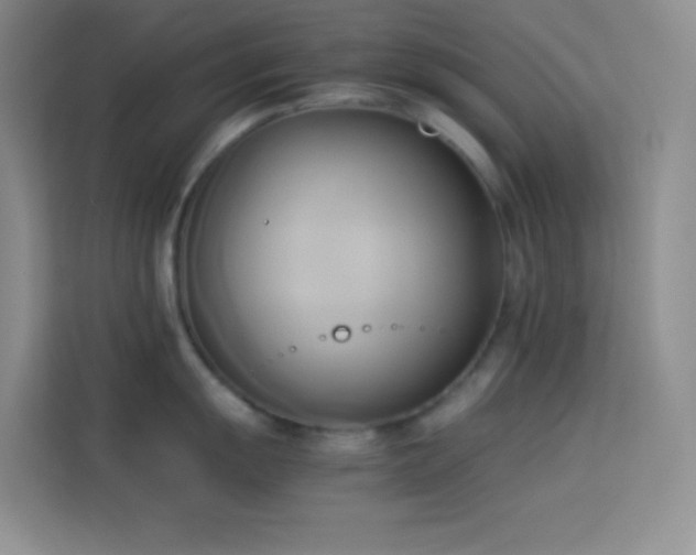 X0000114151055200910081329