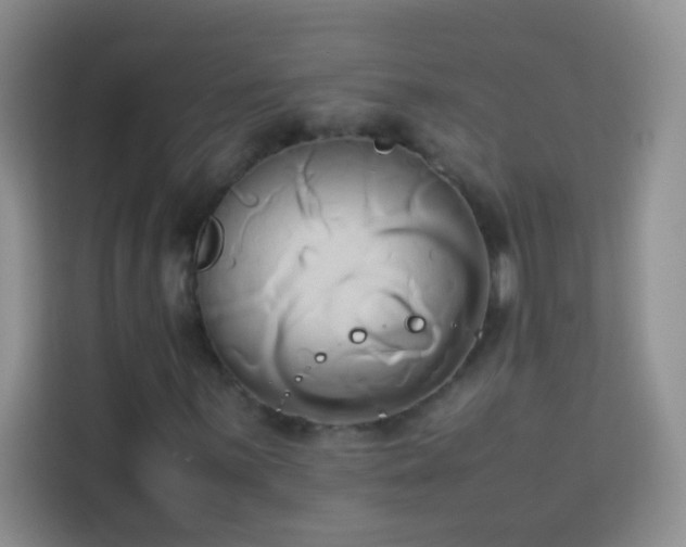 X0000114151059200910081328