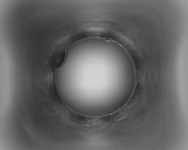 X0000114151061200910081328