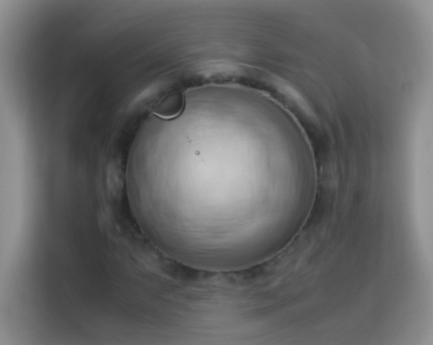 X0000114151063200910081328