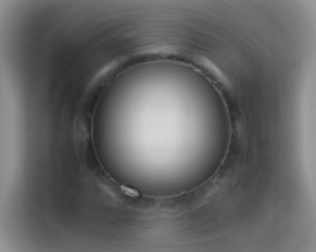 X0000114151064200910081328