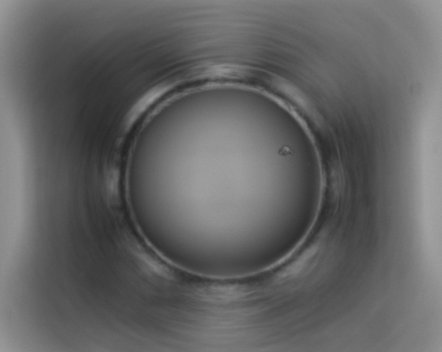 X0000114151066200910081328