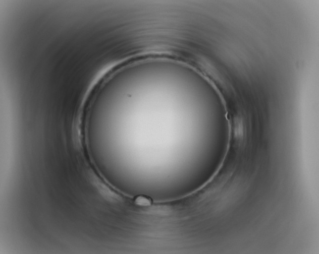 X0000114151068200910081328