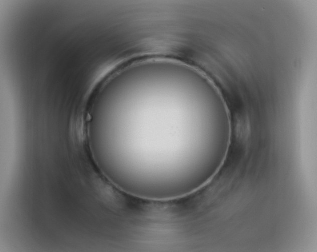 X0000114151069200910081328