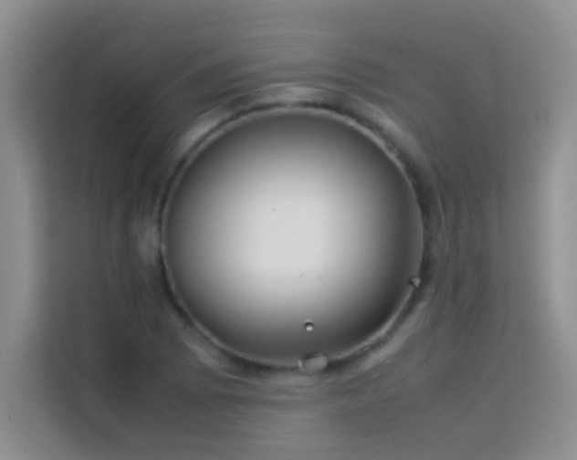 X0000114151073200910081328