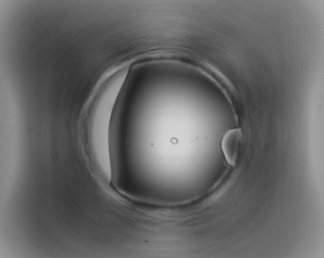 X0000114151075200910081328