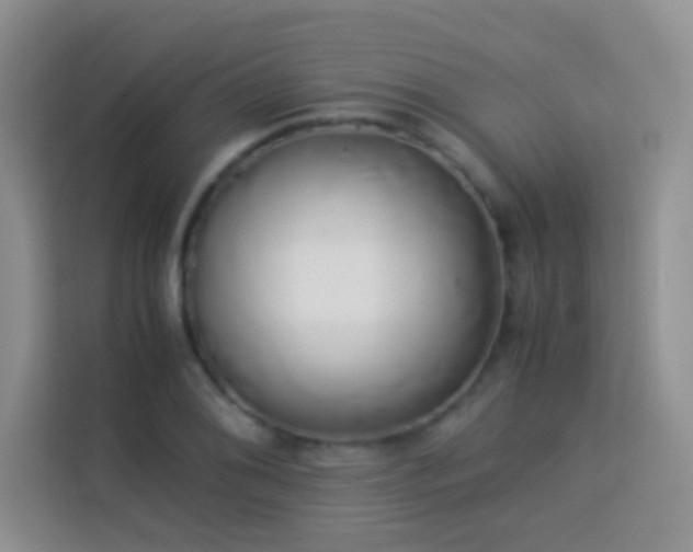 X0000114151076200910081328