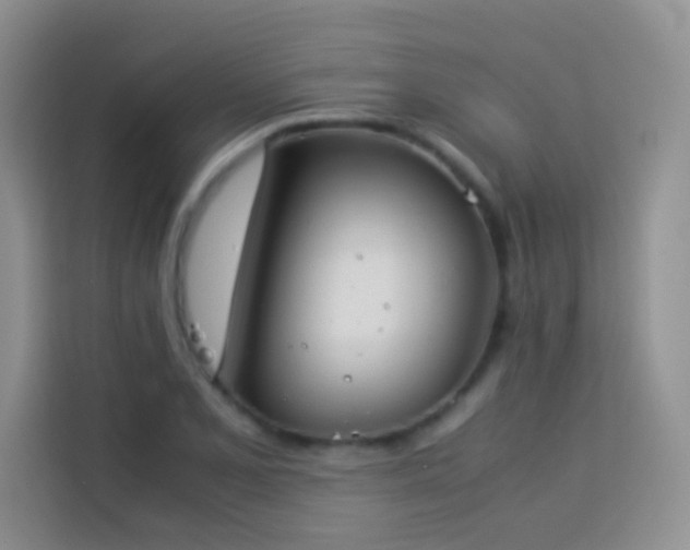 X0000114151077200910081328