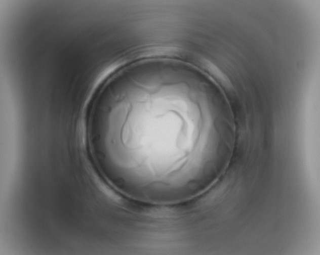 X0000114151079200910081328