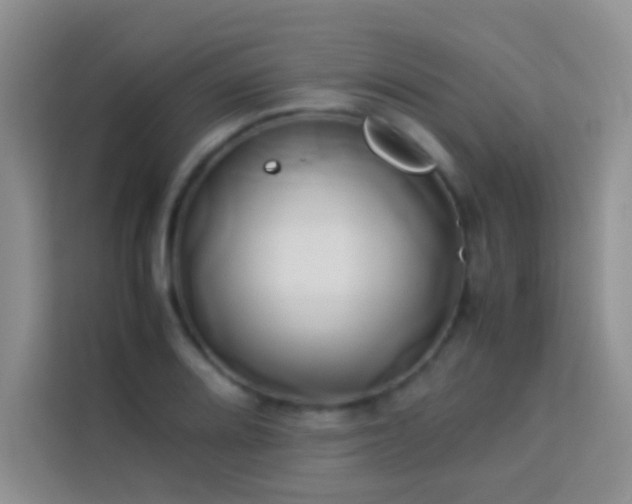 X0000114151080200910081328