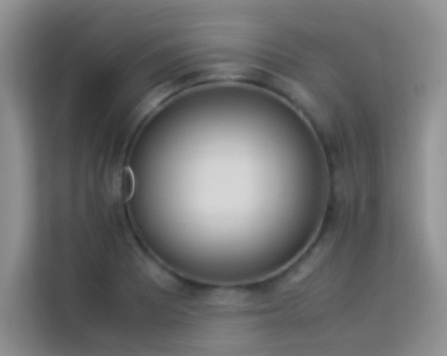 X0000114151081200910081328
