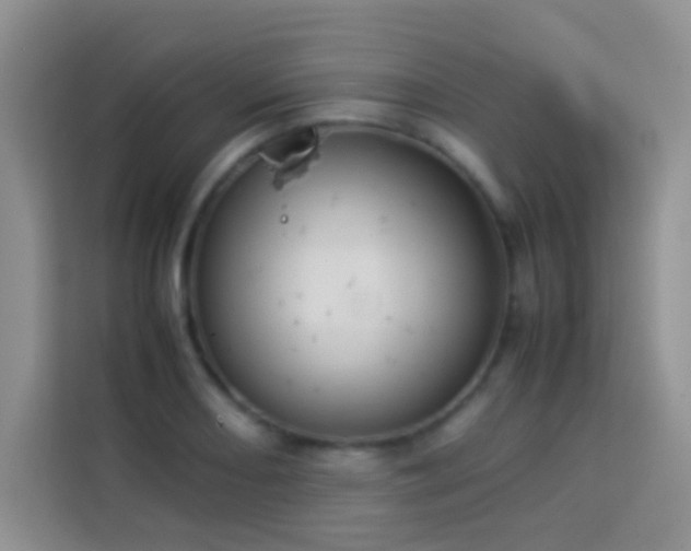 X0000114151082200910081328